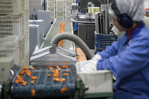 auxiliar de produção auxiliar de produção