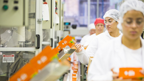 auxiliar de produção auxiliar de produção