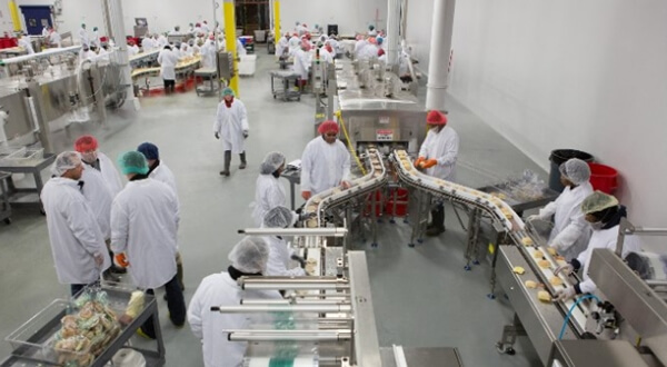 auxiliar de produção auxiliar de produção