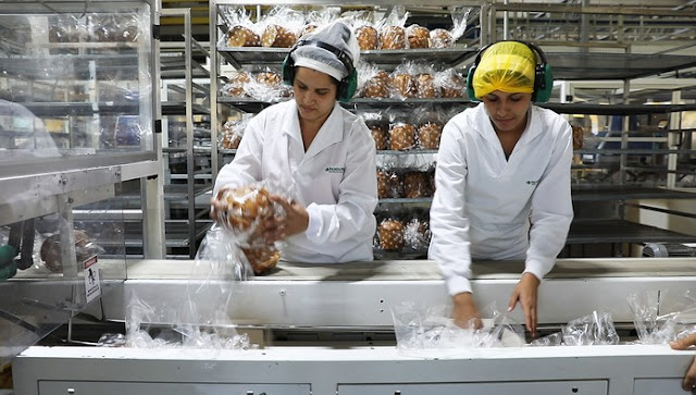 auxiliar de produção vagas para auxiliar de produção em curitiba