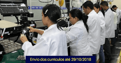 auxiliar de produção em curitiba vagas em curitiba - cadastre seu curriculo