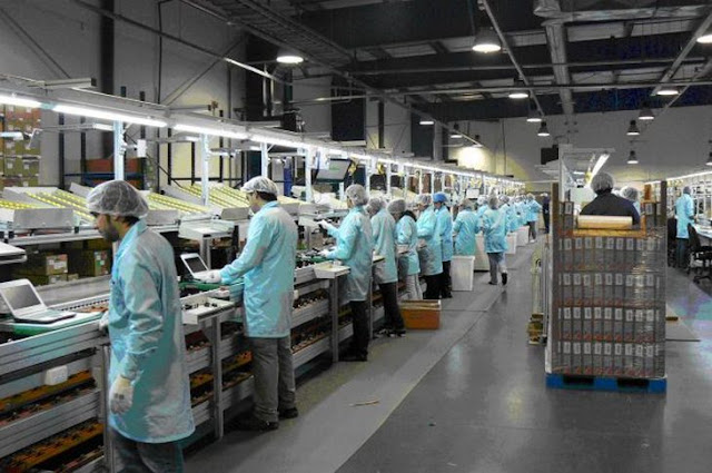 operador de produção operador de produção em colombo