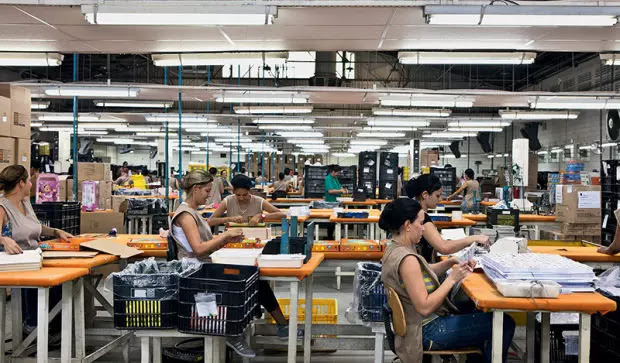 auxiliar de produção araucaria auxiliar de produção araucaria