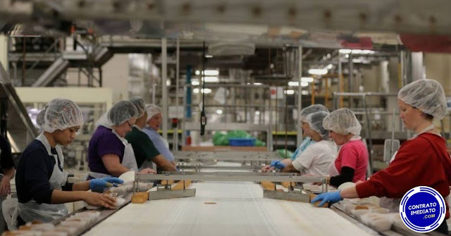 auxiliar de produção auxiliar de produção