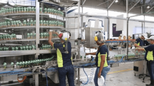 auxiliar de producao campo largo auxiliar de producao campo largo