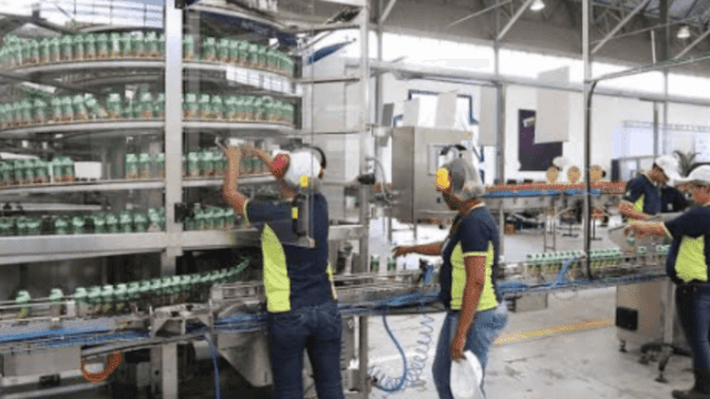 auxiliar de produção auxiliar de produção