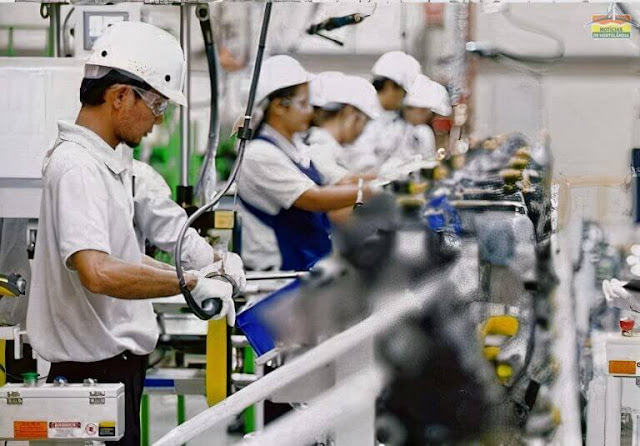 auxiliar de produção araucaria auxiliar de produção araucaria