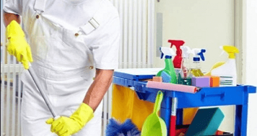auxiliar de serviços gerais auxiliar de serviços gerais