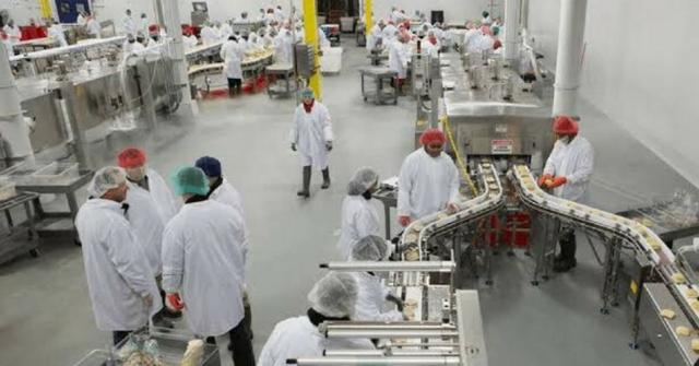 auxiliar de produção auxiliar de produção em curitiba