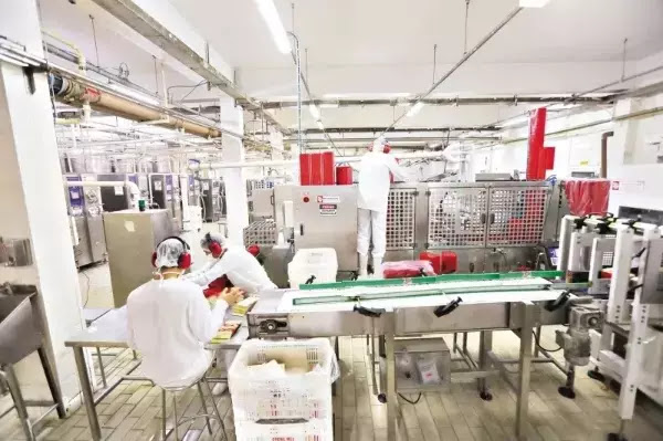 auxiliar de produção auxiliar de produção