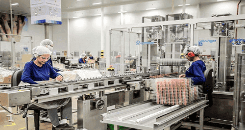 auxiliar de produção auxiliar de produção