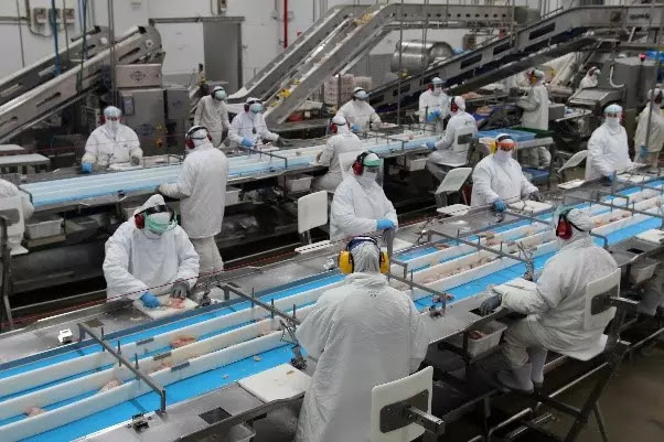 auxiliar de produção auxiliar de produção
