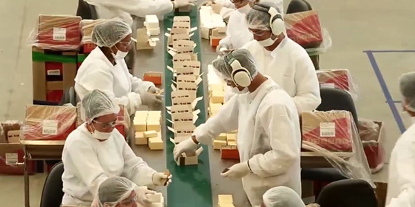 auxiliar de produção auxiliar de produção