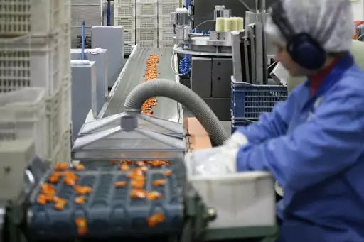 auxiliar de produção sjp auxiliar de produção sjp