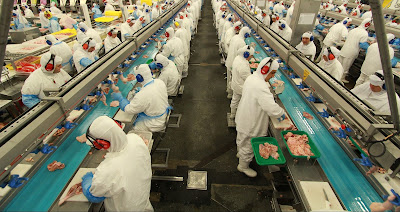 auxiliar de produção em são josé dos pinhais auxiliar de produção em são josé dos pinhais