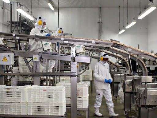 auxiliar de produção auxiliar de produção