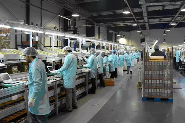 ajudante de produção ajudante de produção