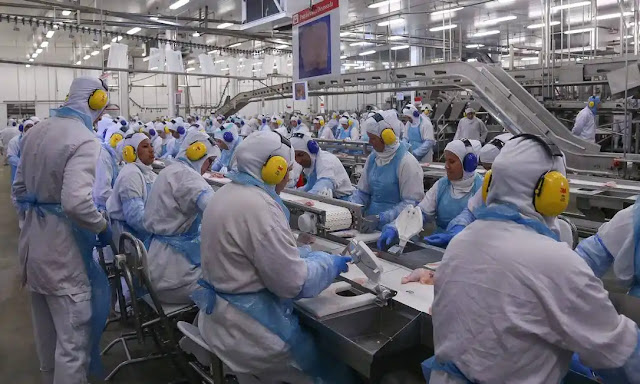 auxiliar de produção auxiliar de produção