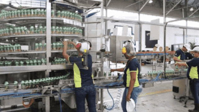 auxiliar de produção auxiliar de produção