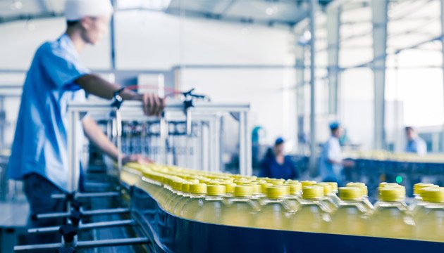 Auxiliar de Produção Fazenda Rio Grande – PR