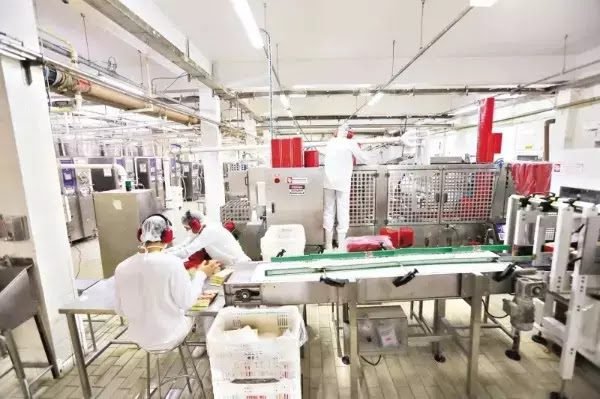 48 Vagas para Auxiliar de Produção – Com ou Sem Experiência