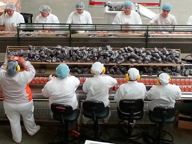 10 vagas de Auxiliar de produção – Pode ser 1º Emprego