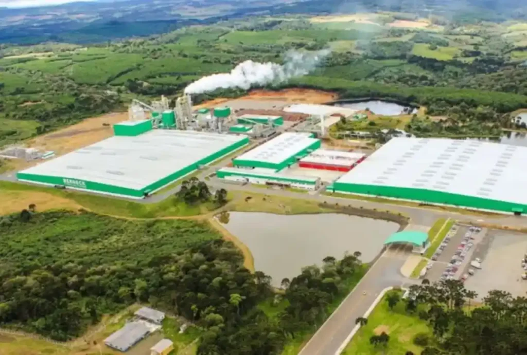 Vagas berneck araucária