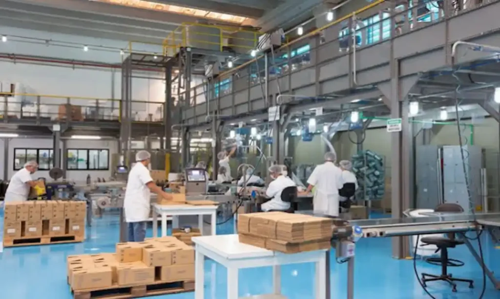 Auxiliar operacional